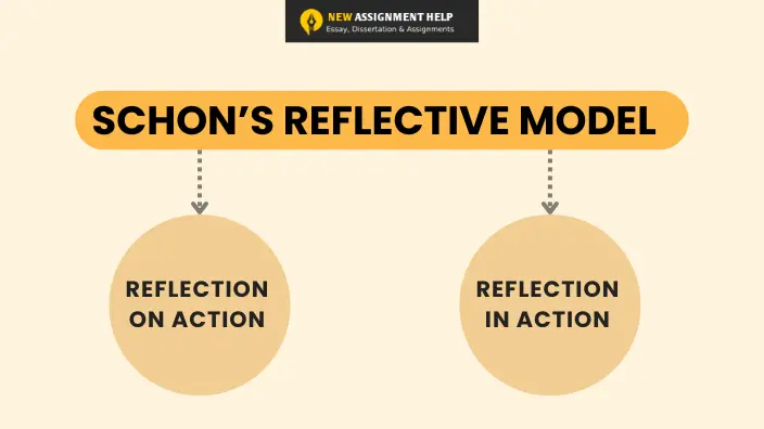 Schon's Reflective Model - A Complete Guide