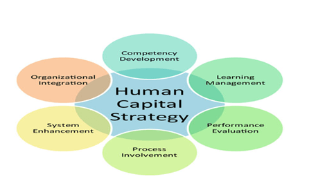 Human Resource Management 