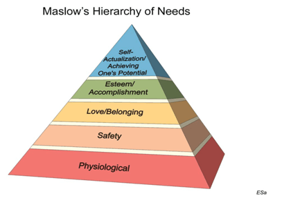  Employability skills