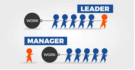 Management and Operations