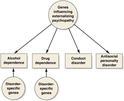 Epidemiology of Drug Abuse
