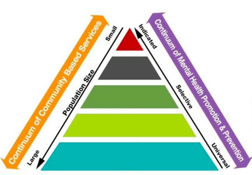 The Community Mental Health Care Model