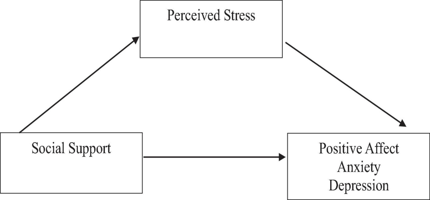 Social support and mental health