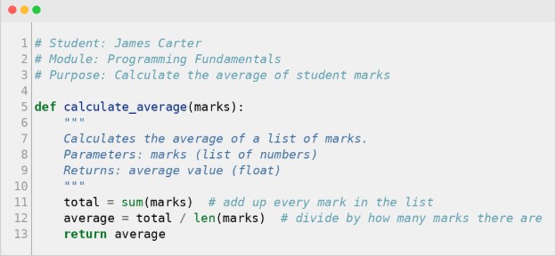 What Well-Documented Code Actually Looks Like