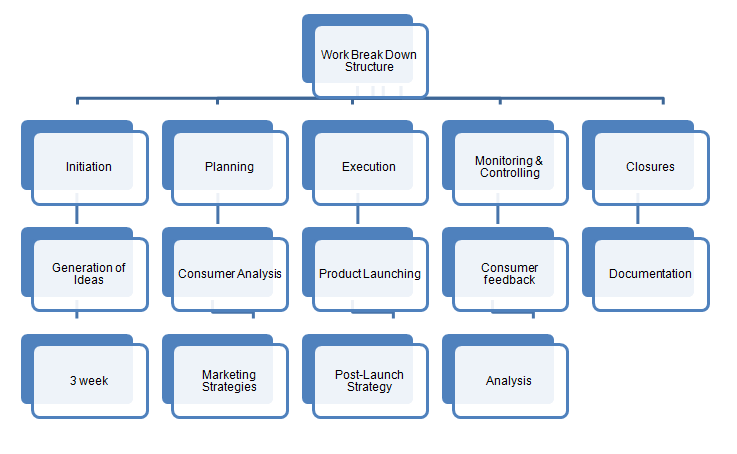 Managing a Successful Business Project