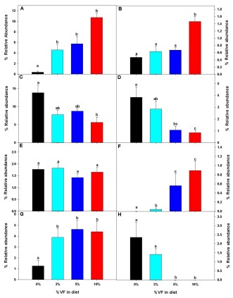 Comparison among different groups