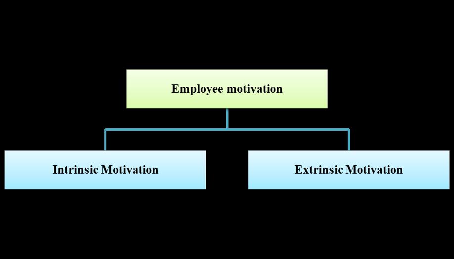 Two types of employee motivation
