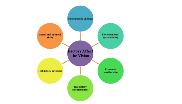 Factors Affecting the Vision for the Setting/Service