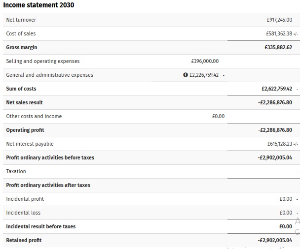 Figure 10: Income Statement of Asterisik Shoees in 2030