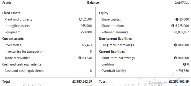 Figure 9: &ldquo;Balance sheet&rdquo; of Asterisik shoees in 2030