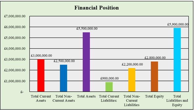 Figure 9: Financial Position