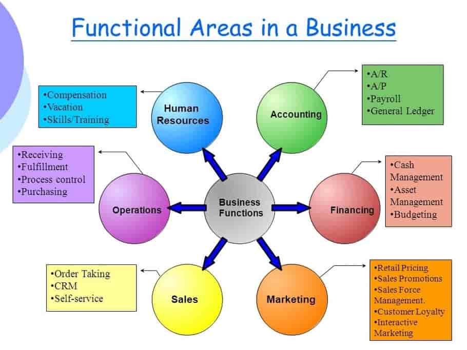 Functional Area of the business