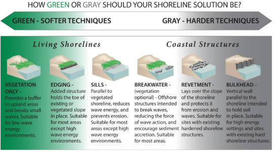 Green to Grey Shoreline solutions
