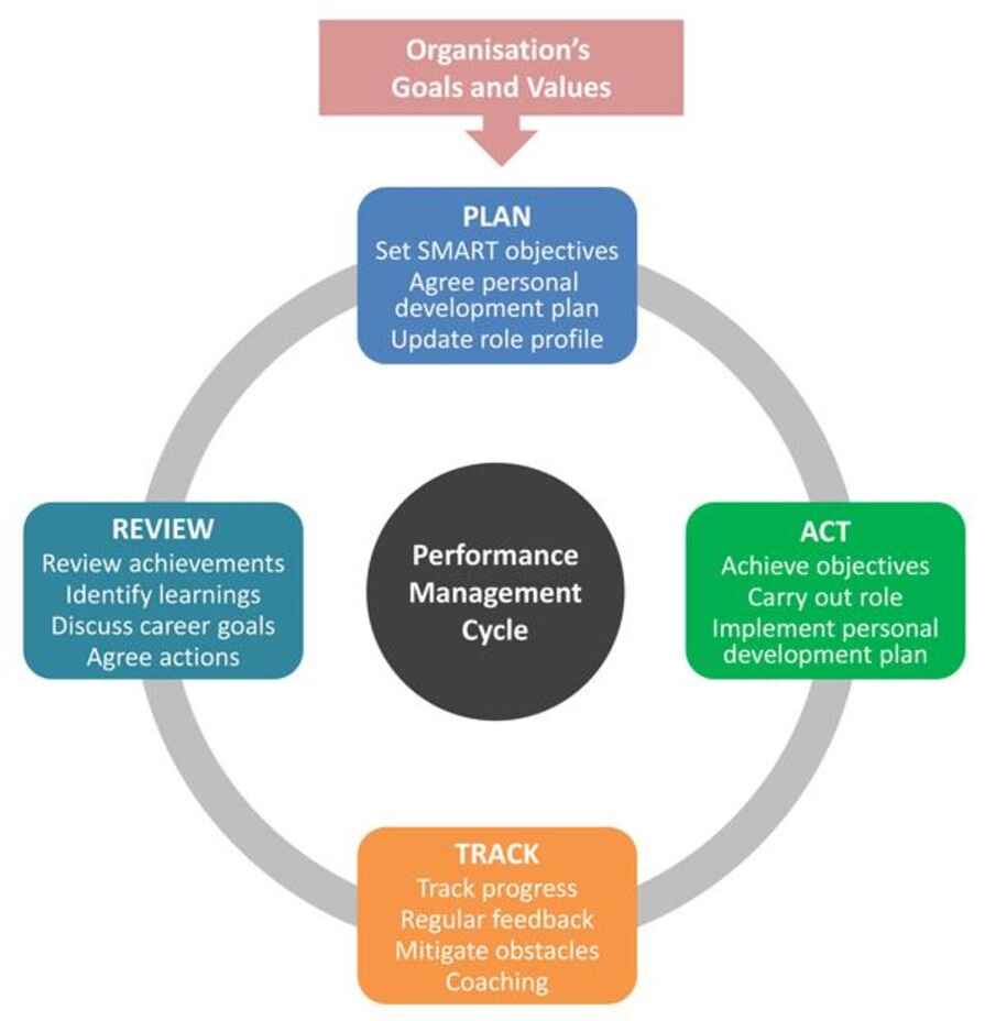 Performance Management Cycle