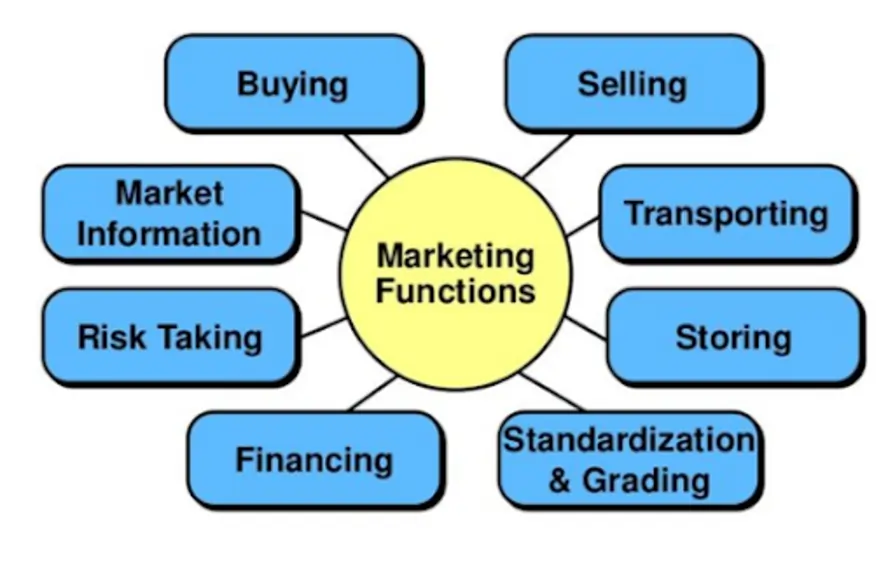  Marketing Functions