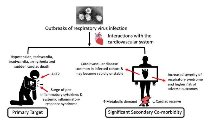 Novel medical devices for early detection of cardiovascular disease