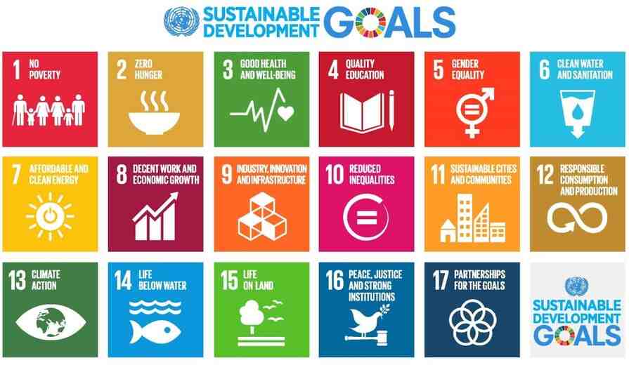 UN Sustainable Development Goals”