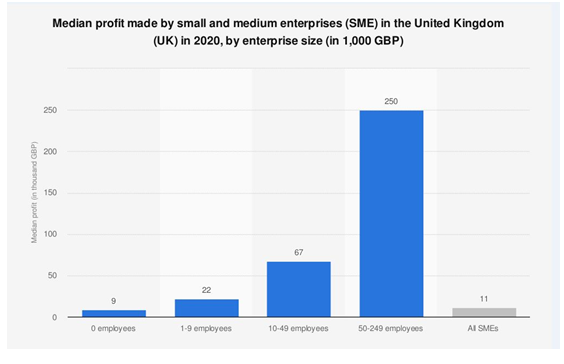 Profit gained by the small & medium businesses 