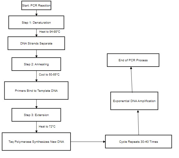 Thermocycler Temperature