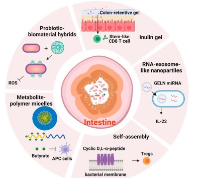 Technology used for engineered oral formulations