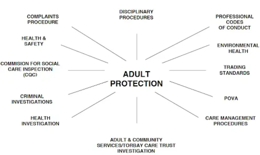 The Adult protection measures