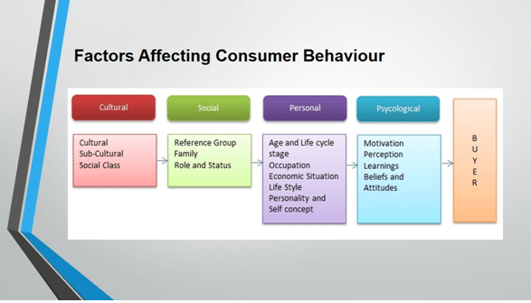 Consumer Behaviour and Insight
