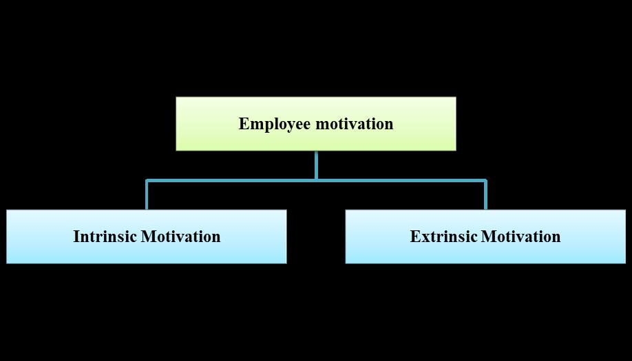 Two types of employee motivation