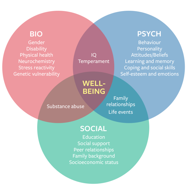 Bio-psychosocial model