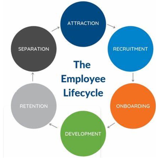 important-stages-of-employee-lifecycle