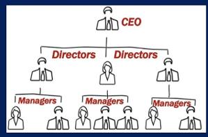 General Picture of Organizational Structure